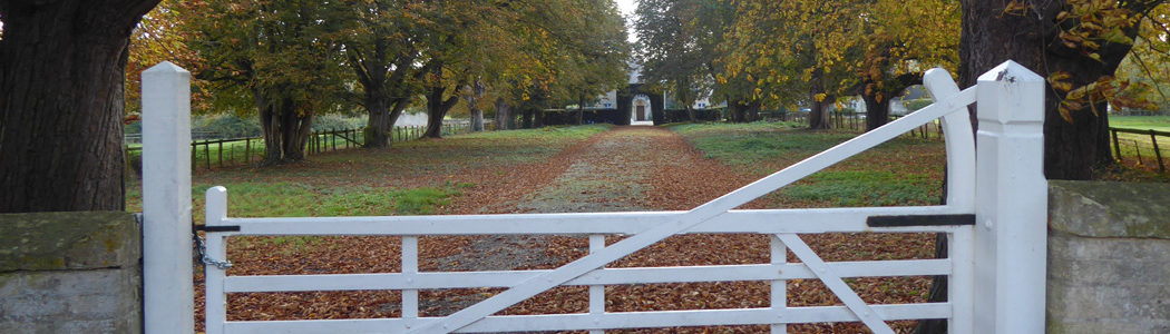 The captain's drive